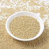 MIYUKI Round Rocailles Beads SEED-G007-RR0488-2