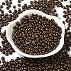 Baking Paint Glass Seed Beads SEED-B001-02A-02-2