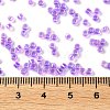Glass Seed Beads X-SEED-S042-13A-10-4