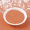 MIYUKI Round Rocailles Beads X-SEED-G007-RR0424-2