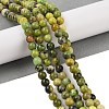 Natural Serpentine Beads Strands G-G829-06-6mm-2