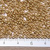 MIYUKI Round Rocailles Beads X-SEED-G007-RR4203-4
