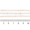 Natural Freshwater Shell Beads Strands SHEL-P017-01A-02-4
