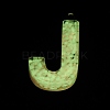 Luminous Resin Pendants RESI-I059-J01-3
