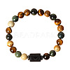 Twelve Constellations Natural Tiger Eye & Picture Jasper & Rhyolite Jasper Round & Column Beaded Stretch Bracelets for Women Men WG6FA5D-06-2