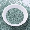 MIYUKI Delica Beads SEED-MY11-DB0374-2