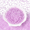 Baking Paint Glass Seed Beads GLAA-T023-43G-1