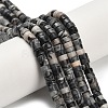 Natural Black Netstone Beads Strands G-Z110-A23-2x4mm-1