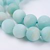 Natural Amazonite Beads Strands G-J376-19F-10mm-3
