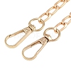 Alloy Twisted Chain Bag Chains AJEW-H145-86G-4