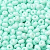 Baking Paint Glass Seed Beads X1-SEED-B001-02A-14-3