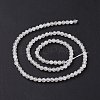 Natural Moonstone Beads Strands G-F736-01-3
