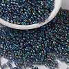 MIYUKI Round Rocailles Beads X-SEED-G008-RR0249-1