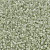 MIYUKI Delica Beads X-SEED-J020-DB1765-3