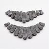 Natural Larvikite Beads Strands G-P298-J01-3