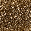 MIYUKI Delica Beads SEED-MY11-DB0181-3