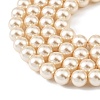 Preciosa® MAXIMA Crystal Nacre Pearls X-PRC-NPA10-71000-4