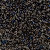 MIYUKI Round Rocailles Beads SEED-G008-RR4556-3