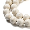Natural Fossil Beads Strands G-H026-02A-4