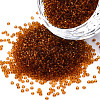 15/0 Transparent Czech Glass Seed Beads SEED-N004-004-17-1