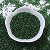 MIYUKI Delica Beads SEED-J020-DB0148-2