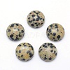 Natural Dalmatian Jasper Cabochons G-P393-R33-12mm-1