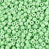 8/0 Baking Paint Glass Round Seed Beads SEED-S036-01B-02-3