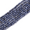 Natural Sapphire Beads Strands G-S361-2mm-009-1