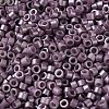 Baking Paint Glass Seed Beads X-SEED-S042-15A-14-3