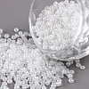 12/0 Glass Seed Beads SEED-US0003-2mm-141-1