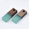 Resin & Wood Pendants X-RESI-S358-19G-2