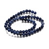 Natural Sodalite Round Bead Strands G-P072-27-6mm-3