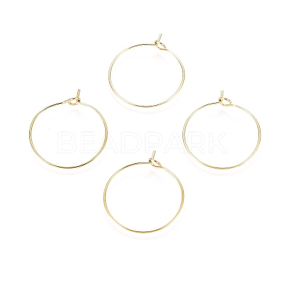 Ion Plating(IP) 316L Surgical Stainless Steel Hoop Earring Findings X-STAS-D164-02G-A-1