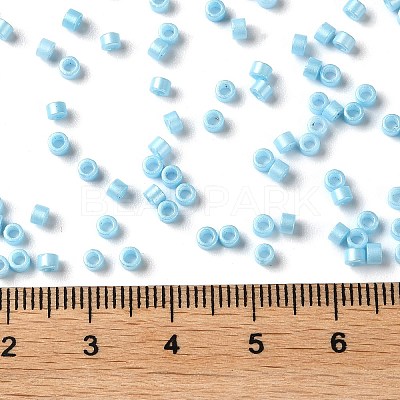 Baking Paint Glass Seed Beads X-SEED-S042-15A-10-1