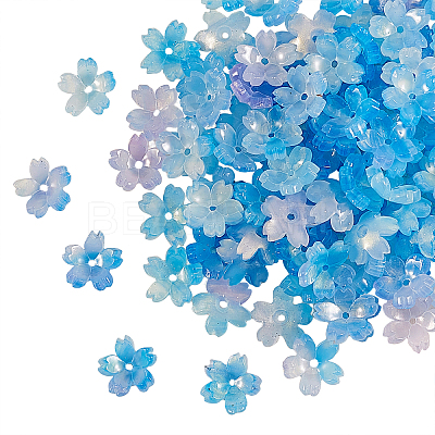 Cellulose Acetate(Resin) Bead Caps RESI-CJ0001-221-1