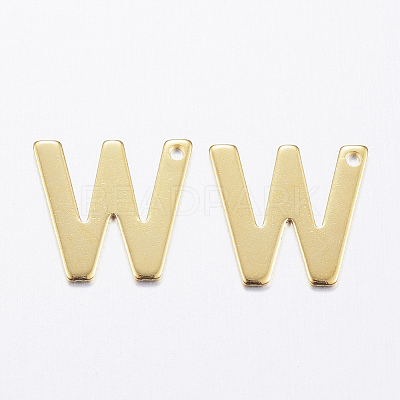 304 Stainless Steel Charms STAS-P141-W-1