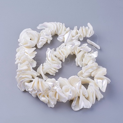 Natural Shell Beads Strands SSHEL-E571-40-1