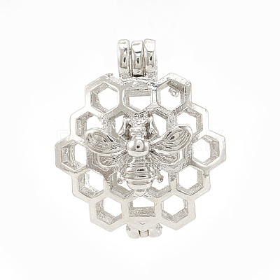 Alloy Locket Pendants PALLOY-S062-55P-1