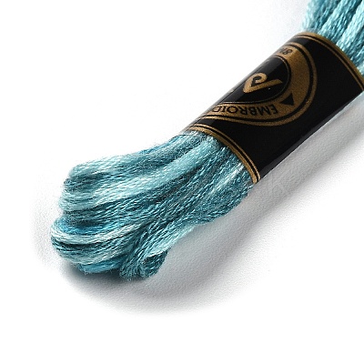 10 Skeins 6-Ply Polyester Embroidery Floss OCOR-K006-A46-1