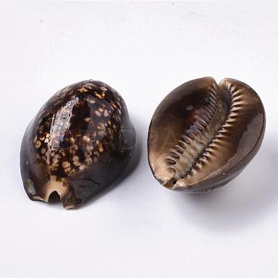 Natural Cowrie Shell Beads SSHEL-Q298-19-1