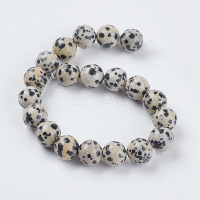 Natural Dalmation Jasper Beads Strands X-G-G515-10mm-06-1