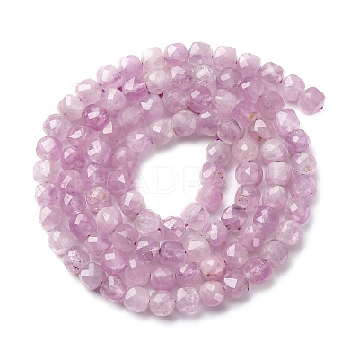 Natural Kunzite Beads Strands G-P587-C01-01-1