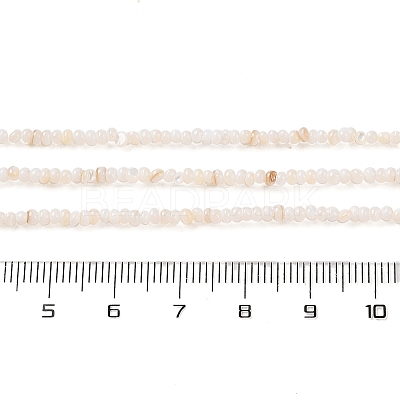 Natural Freshwater Shell Beads Strands SHEL-P017-01A-02-1