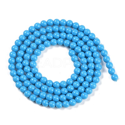 Synthetic Turquoise Beads Strands G-U004-02F-1