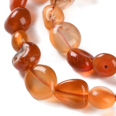 Natural Carnelian Beads Strands G-P497-01C-35-1