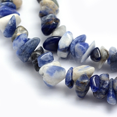 Natural Sodalite Beads Strands G-P332-21-1