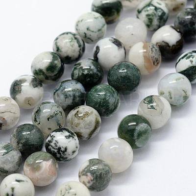Natural Tree Agate Beads Strands G-I199-03-6mm-1