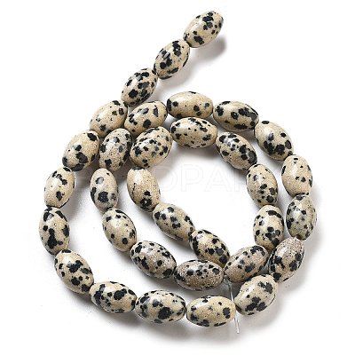 Natural Dalmatian Jasper Beads Strands G-B106-B20-01-1