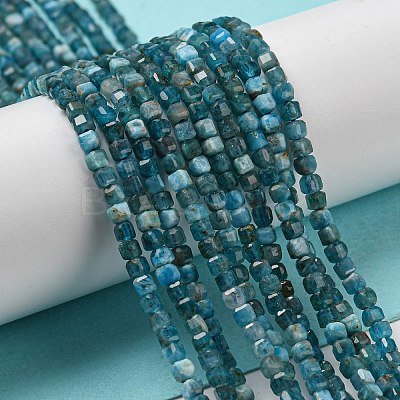 Natural Apatite Beads Strands G-P457-B01-14-1