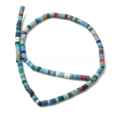 Dyed Synthetic Turquoise Beads Strands G-Z089-A04-R-1